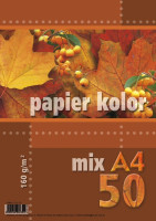 Papier ksero A4 160g 50ark. mix 5 kolorów intensywnych